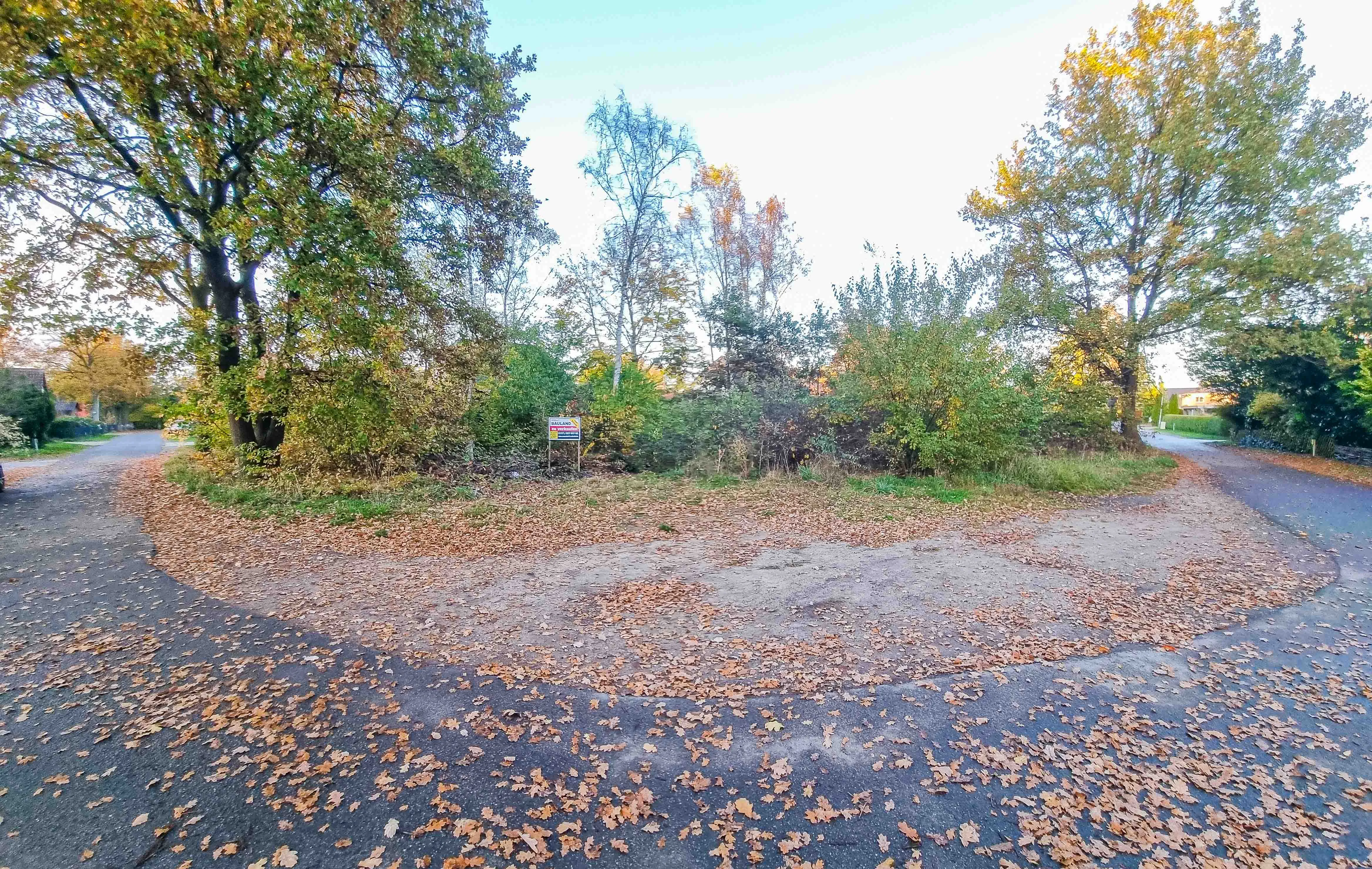 Baugrundstück - Panorama vorne